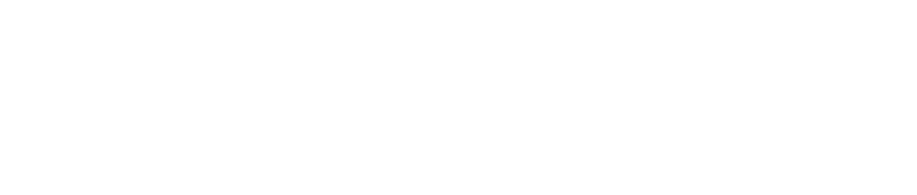 MapGear (Farbe) logo (wit)